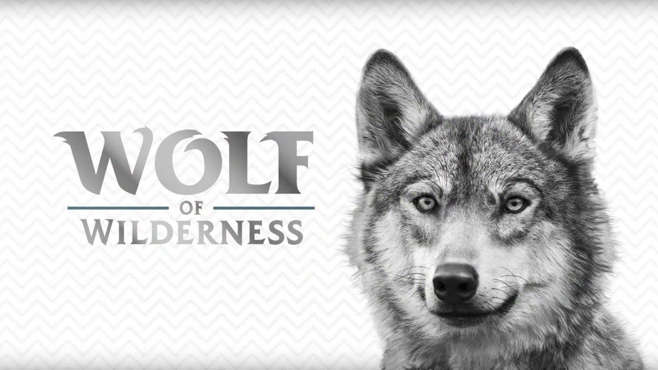 Wolf of wilderness logo