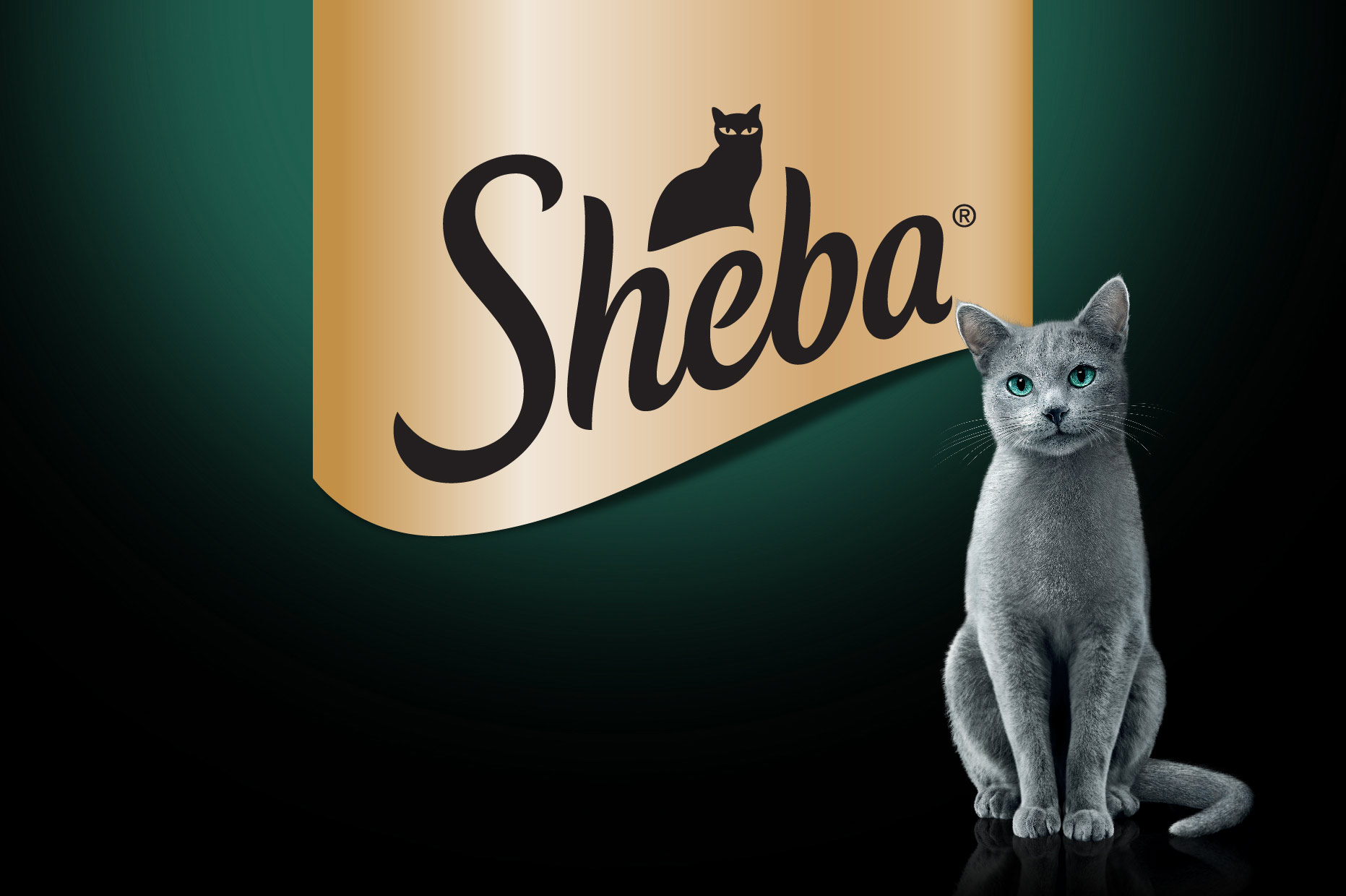 Sheba logo